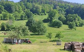 Les studios du frankenthal